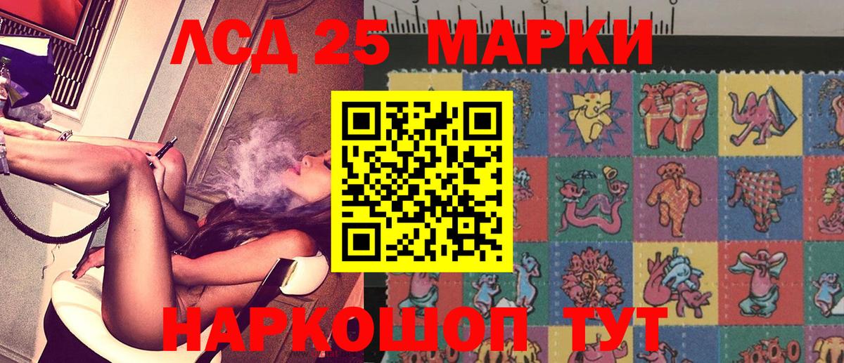 МЕФ Брянск