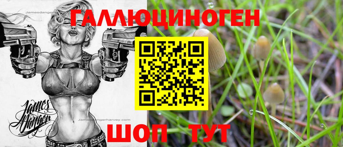 Галлюциногенные грибы мицелий Брянск