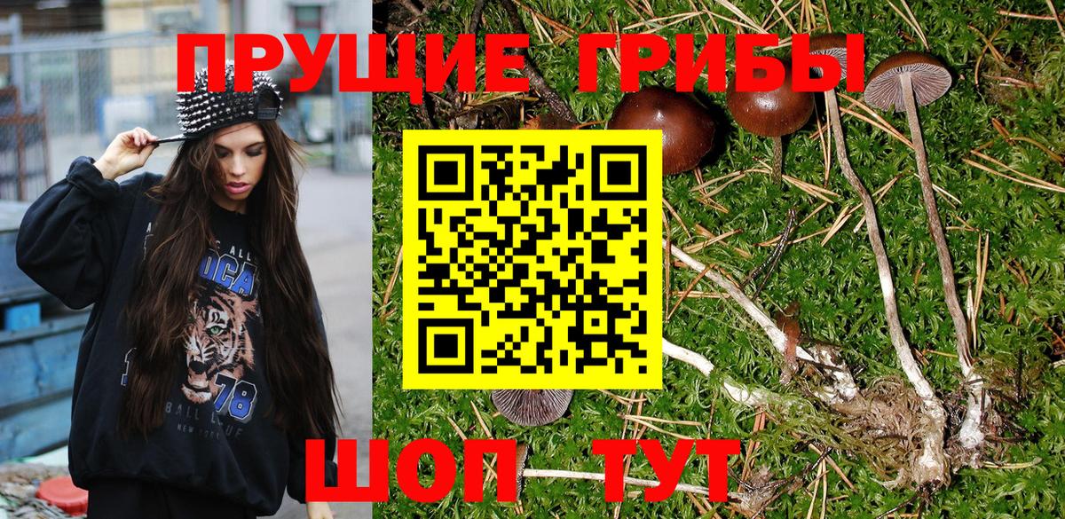 Псилоцибиновые грибы MAGIC MUSHROOMS  Вход с VPN  купить закладку  Псилоцибиновые грибы Psilocybe  Брянск 
